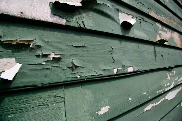Best Hoarding Cleanup  in Ewa Beach, HI